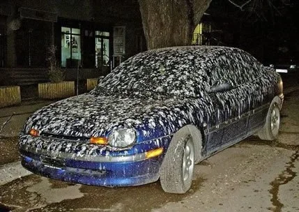 car+covered+in+bird+poop+dr+heckle+funny+wtf+pictures.webp
