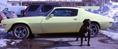 397240_4303315854701_251789778_n.webp 397240_4303315854701_251789778_n.webp