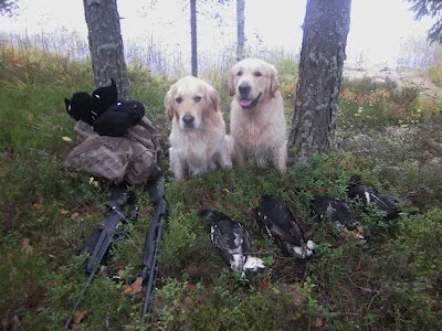 IMG_5772.webp IMG_5772.webp