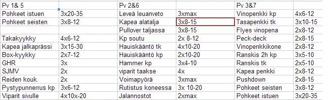 treeniohjelma davidum.webp treeniohjelma davidum.webp