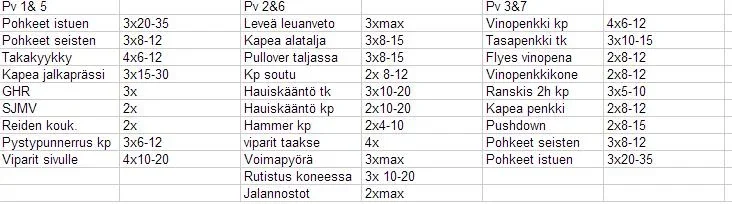 treeniohjelma p2 davidum.webp treeniohjelma p2 davidum.webp