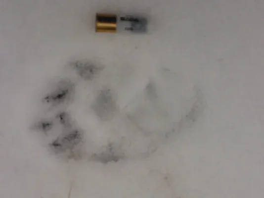 WP_000087 – Kopio (640x480).webp