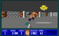 Wolfenstein-3D.gif