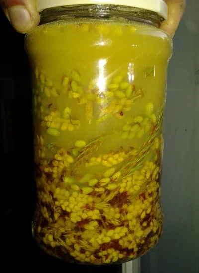 siitep.webp siitep.webp