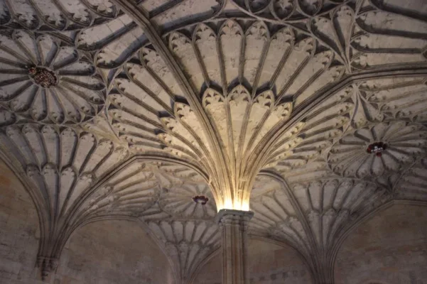 IMG_5872.webp IMG_5872.webp