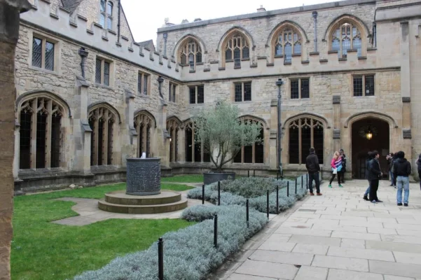 IMG_5920.webp IMG_5920.webp