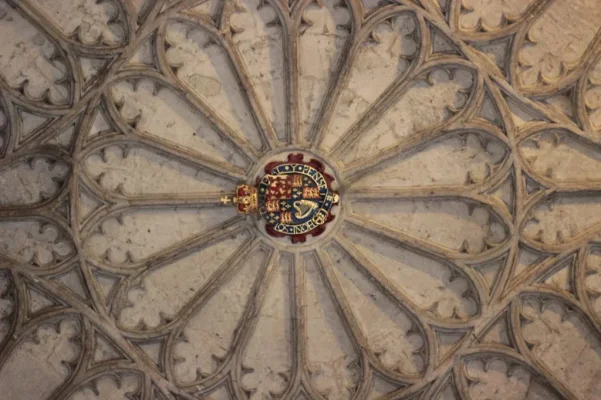 IMG_6195.webp IMG_6195.webp