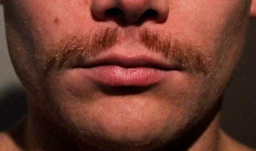 viikset loppu 005.webp