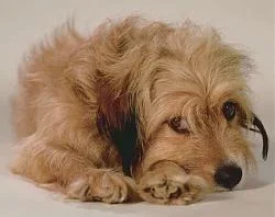 91171d1354320928t-parhaat-leffakohtaukset-benjieyes600.webp 91171d1354320928t-parhaat-leffakohtaukset-benjieyes600.webp