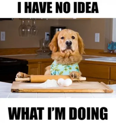2f6as-failbook-silly-dog-you-cant-bake-youre-a-dog.webp