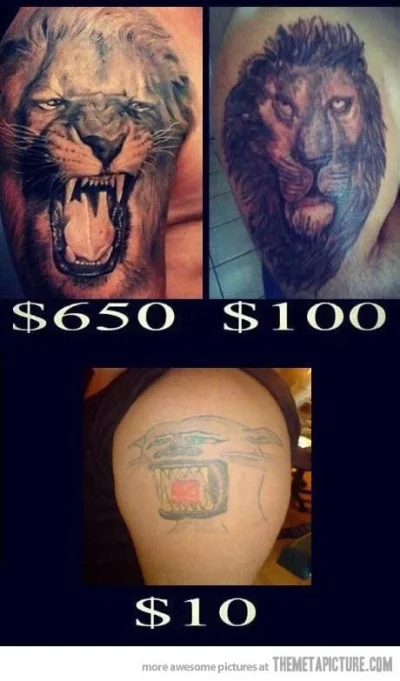 429118_410033715738796_1522768498_n.webp 429118_410033715738796_1522768498_n.webp