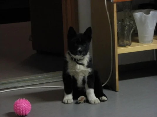 IMG_4161_zpsf68459a9.webp IMG_4161_zpsf68459a9.webp