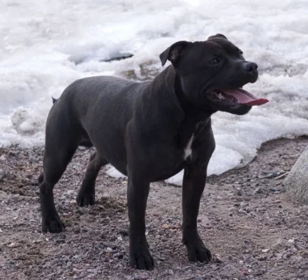 2012-04-10 21.10.33.webp 2012-04-10 21.10.33.webp