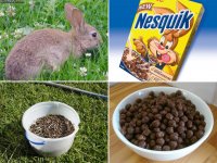 nesquik.jpg