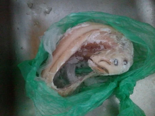 2013-02-19 11.55.31.webp