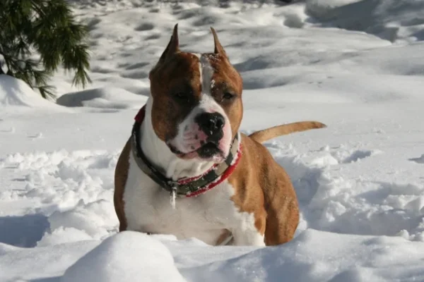 20130306_36 (640x427).webp