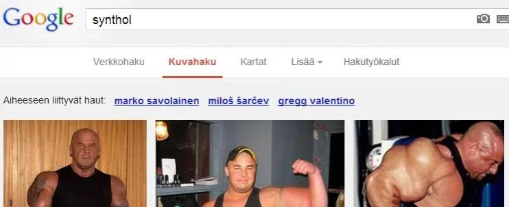 syntikka.webp syntikka.webp