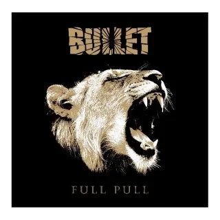 BULLET-Full-Pull-GREY.webp