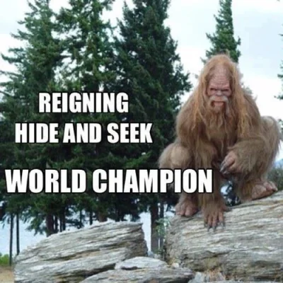 bigfoot.webp