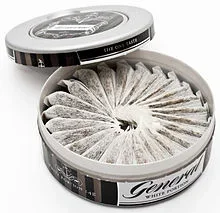 Portioned_snus.webp