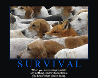 art-of-survival.gif