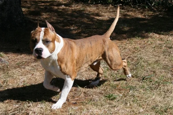 20130504_49 (640x426).webp