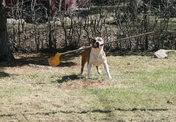 20130504_65 (640x445).webp