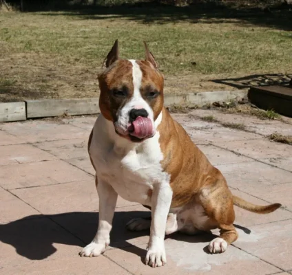 20130504_66 (640x605).webp