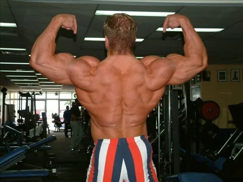 backdoublebicep3.webp