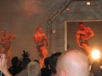 fibo2.JPG