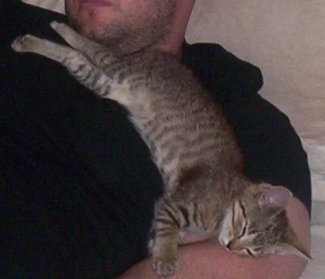 Psyko nukkuu Dinon kanssa.webp