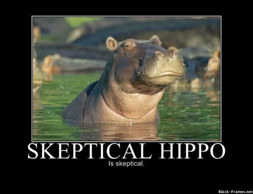 skeptical-hippo-is-skeptical.webp