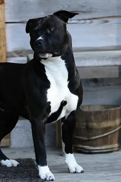 20130529_1 (427x640).webp