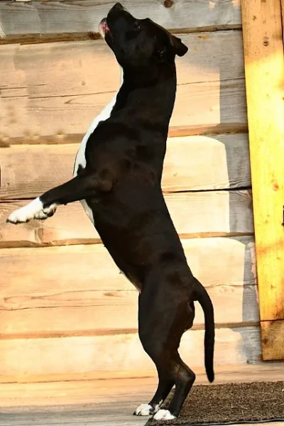 20130529_5 (427x640).webp