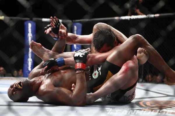 12_Chael_Sonnen_vs_Anderson_Silva.webp