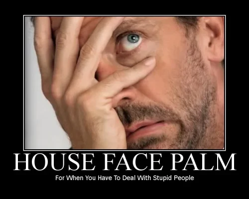 3bcf4274_n79020_facepalm2028house29.webp