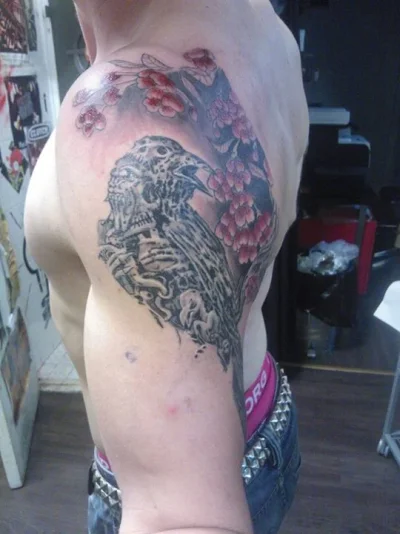 kakkossessio.webp kakkossessio.webp