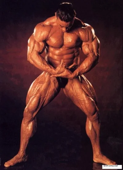 kevin-levrone-0034.webp