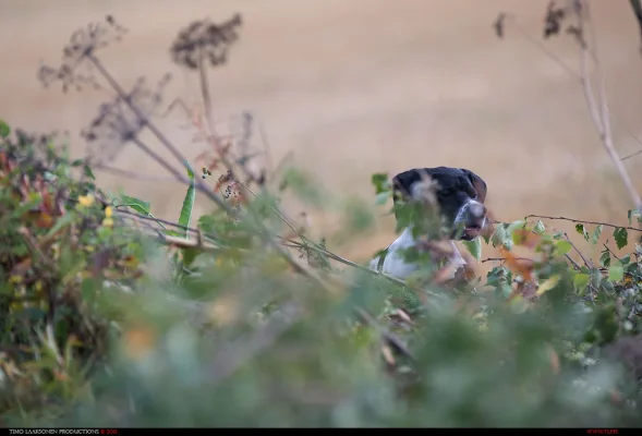 TLP_9412.webp TLP_9412.webp