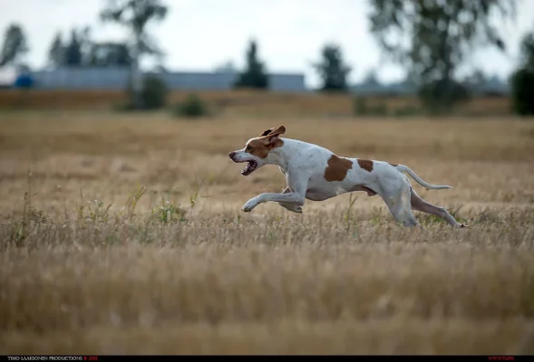 TLP_9430.webp TLP_9430.webp