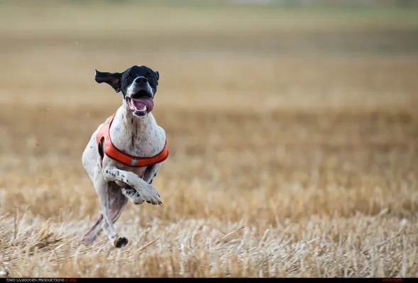 TLP_9464.webp TLP_9464.webp