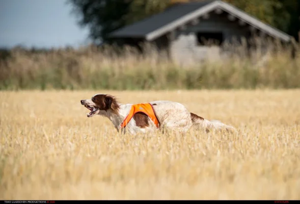 TLP_9521.webp TLP_9521.webp