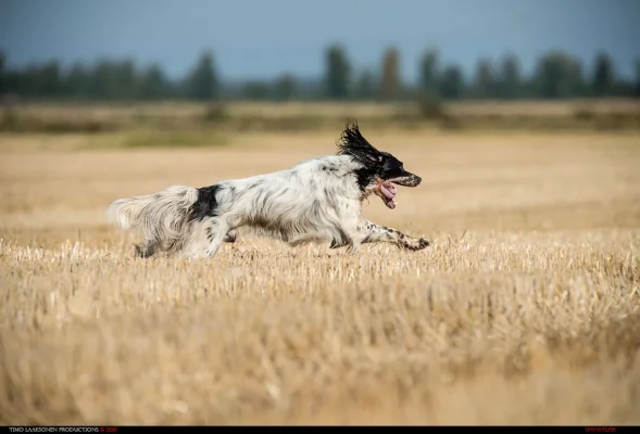 TLP_9528.webp TLP_9528.webp