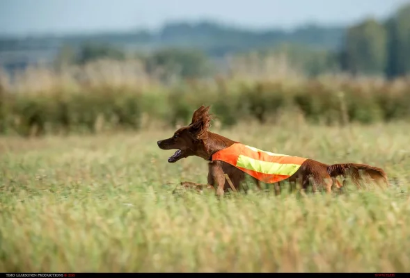 TLP_9571.webp TLP_9571.webp