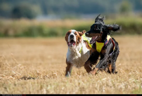 TLP_9615.webp TLP_9615.webp