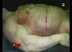 munzer_dead.webp munzer_dead.webp