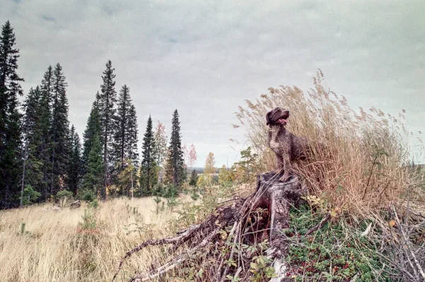 _small.webp _small.webp