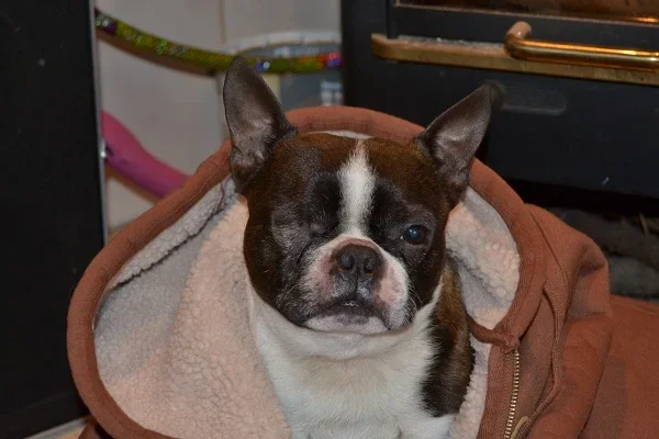 DSC_0991.webp DSC_0991.webp