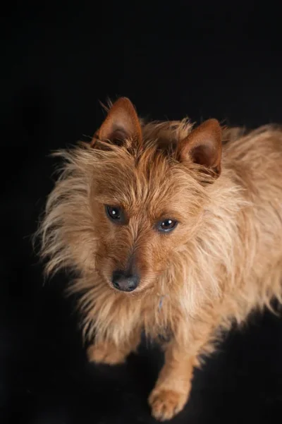 nap-studio-musta-ylhaalta-web.webp nap-studio-musta-ylhaalta-web.webp