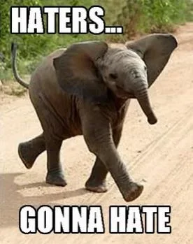 1254685156_haters_gonna_hate_elephant_14272_vdkqit_xlarge.webp 1254685156_haters_gonna_hate_elephant_14272_vdkqit_xlarge.webp